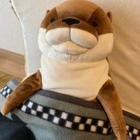鳥羽/balambfish (@t_balambfish) 's Twitter Profile