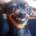 yougurt.yoo (@yooyougurt) Twitter profile photo yougurt.yoo (@yooyougurt) Twitter profile photo