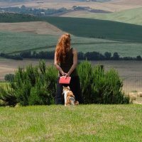 Carmen Jast (@carmen_jas72913) 's Twitter Profile