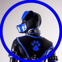 _Rubberhund(@_Rubberhund) 's Twitter Profile Photo