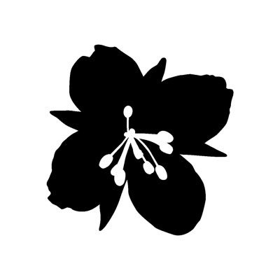 tsuuuma_mi's profile picture. 20↑ 夢書き｜hitnに狂ってる｜最推しは兄｜読む専だけど腐(リラ/ラリ)も好き｜色んなジャンル･趣味など雑多に呟きます｜無言フォローすみません🙏フォロバはお気遣いなく｜何かありましたら▶︎https://t.co/WB8qJXkStS