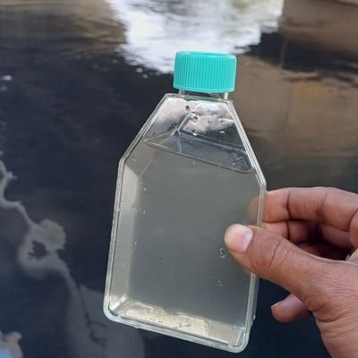 official52035's profile picture. https://t.co/iFNg8Iwnqx Biotechnology