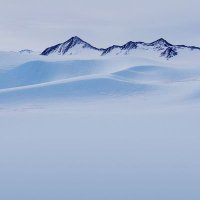 Maximilian Olson (@maximilian3374) 's Twitter Profile