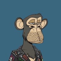 Nellie Hahn (@hahnnellie76660) 's Twitter Profile