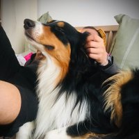 Susie Dooley (@sdooley93731) 's Twitter Profile