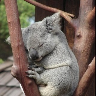 AnnaTarasova5's profile picture. 