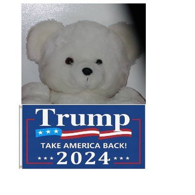 Just a teddy bear living / coping / surviving in a human world, Facebook outcast dedicated to driving liberals crazy and supporting the right to arm bears.