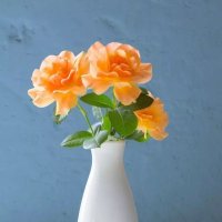 Deborah Bruen (@bruendebor51526) 's Twitter Profile