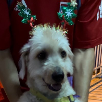 นะพัดさんのプロフィール画像