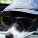 lindsay vincent - @LindsayVincent - Twitter