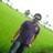 IamNeelaKrishna's profile image