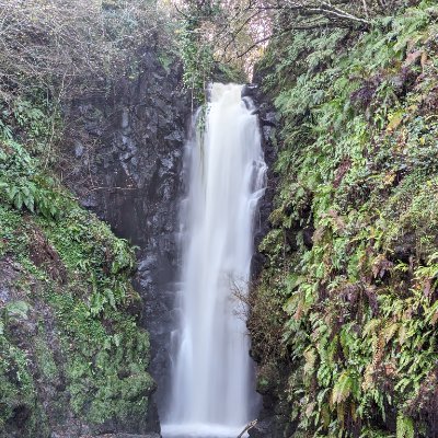 SeanMcC10176853's profile picture. 