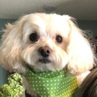 Lynnly4707 (@lynnly4707) 's Twitter Profile