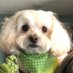 Lynnly4707 (@lynnly4707) Twitter profile photo Lynnly4707 (@lynnly4707) Twitter profile photo