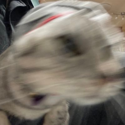 Lucy828810's profile picture. 