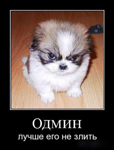 VladislavHmur's profile picture. Общительный и весёлый, не смотря на свою хмурую фамилию =)