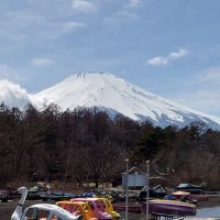 なりなりな (@masanariyasu) Twitter profile photo