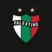 Club Deportivo Palestino (@CDPalestinoSADP) Twitter profile photo