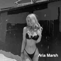 ariaamaarsh's profile picture. Renaissance man