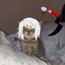 Carol White (@carolwhite85330) Twitter profile photo Carol White (@carolwhite85330) Twitter profile photo