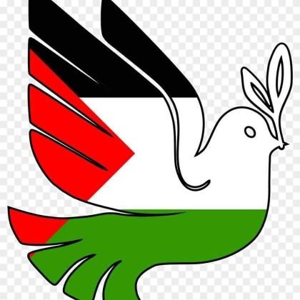 My name is Moayad Muhammad  , a Palestinian . I live in Gaza. I bring news of Palestine to the world. I ask for help for the poor, and I ask everyone to help