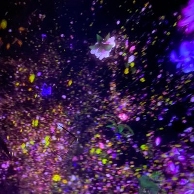TaruHcpxnctqsf's profile picture. 