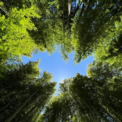 ihsakat5296's profile picture. 