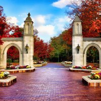 Tyler Abel (@tcabel) 's Twitter Profile Photo