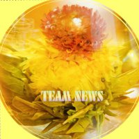 katsuki ♪♪♪′mjúːzik (@nijikoi_nm) 's Twitter Profile Photo katsuki ♪♪♪′mjúːzik (@nijikoi_nm) 's Twitter Profile Photo