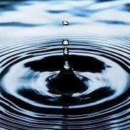 MindThinketh's profile picture. Speculation Disciplined Thinking Always Improving