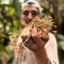 Cordyceps ps ps ps ps🍄 (@scatola_luiz) Twitter profile photo Cordyceps ps ps ps ps🍄 (@scatola_luiz) Twitter profile photo