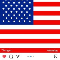 Demarco Willms (@demarcowil39238) 's Twitter Profile