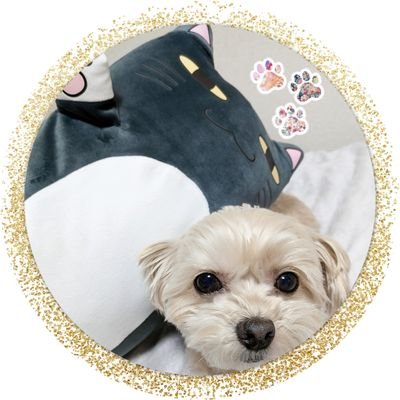 こずえさんのプロフィール画像