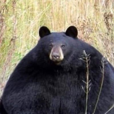 김묵은지さんのプロフィール画像