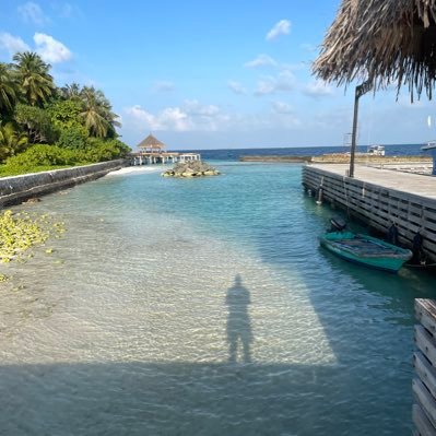 anonymnish's profile picture. NHS UK , IMT