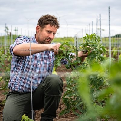 Spiel&Spass beim Ausbau unseres eigenen FamilienWeingutes ! Nachhaltige Denke gern auch kontrovers diskutiert. Öffentlichkeit für Landwirtschafts&Weinbaukultur