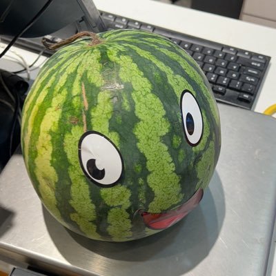 专业滑西瓜皮🍉