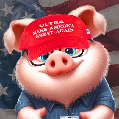 web3 enthusiast🌐🐽 patriot🇺🇸🦅 jew✡️