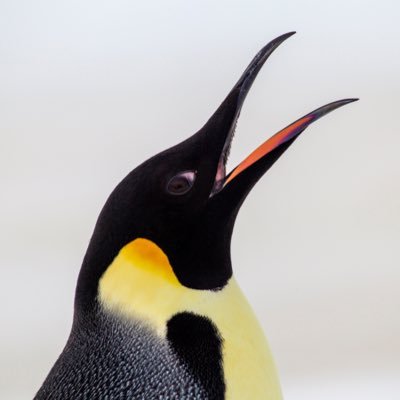 consultant_pres's profile picture. 約20年のファーム経験を経て独立・起業して社長として奮闘するコンサルタント