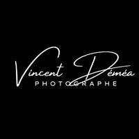 VincentD.(@shashinkaihi) 's Twitter Profile Photo