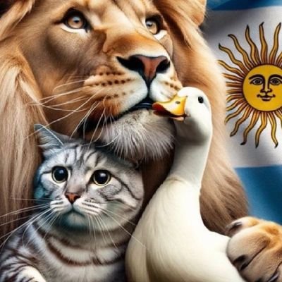 LGarofa's profile picture. esposa de jorge ,mama de bianca ,suegra de gonzalo,mi perra hoppy, tengo dos hermosos y dulces nietitos y directora jubilada