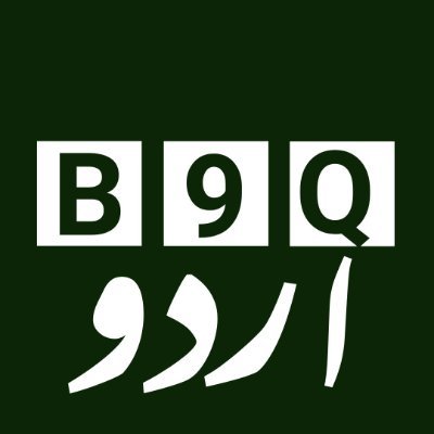 B9qUrdu Profile Picture