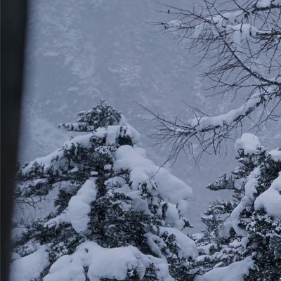 6gVCg8d0Ds7867's profile picture. 