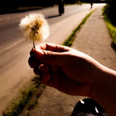 AnaCaro00843510's profile picture. 