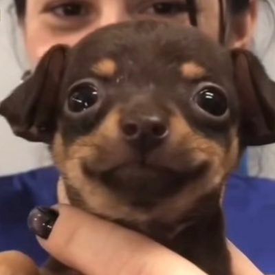 awawxx0's profile picture.