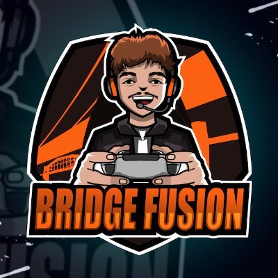 Bridge_Fusionyt Profile Picture