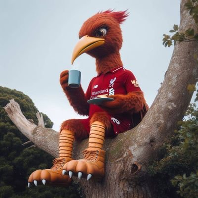 jalandimedsos's profile picture. nothing special