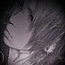 albero (@mthl_beholder) Twitter profile photo albero (@mthl_beholder) Twitter profile photo