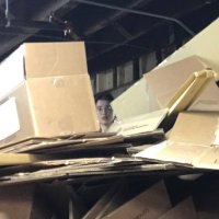 Lysanne Schmidt (@lysannesch949) 's Twitter Profile