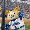 Cheerin44117604's profile picture. 横浜ベイスターズ・野球ツイート用アカウント。生まれ育った町の隣町に大洋の練習場ができてからの生粋の横浜ファン。98年には大魔神社にもお参りしたよ。2024年はリーグ優勝&日本一‼️絶対勝つぞベイスターズ⭐️